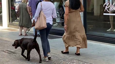 Модная Падуя - YouTube