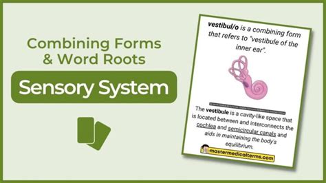 dys- Master Medical Terms