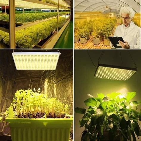 Lampe Plante Led Lampe De Croissance Horticole W Leds Spectre