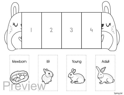 Ciclo De Vida De Un Conejo Unidad Científica Todo Sobre Los Conejos Manualidades Plegables