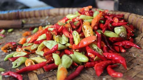 Premium Photo Ripe Red Hot Chili Vegetable Isolated Premium
