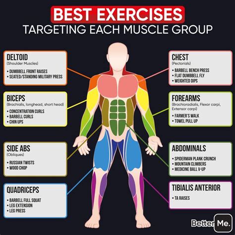 bettermen  instagram   exercises  target   muscle