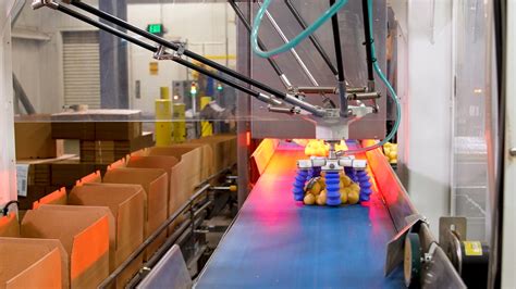 Soft Robotics - Food Automation Solutions For Single and Bulk Picking