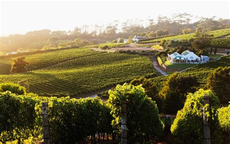 Una aventura en Sudáfrica safari y vino Buenos Viajes Colombia