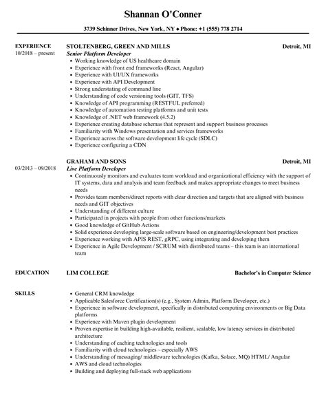 Platform Developer Resume Samples Velvet Jobs