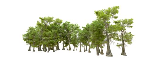 Forest Png PNGs for Free Download