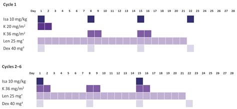 Interim Analysis On The Isa KRd Quadruplet Regimen For Patients With