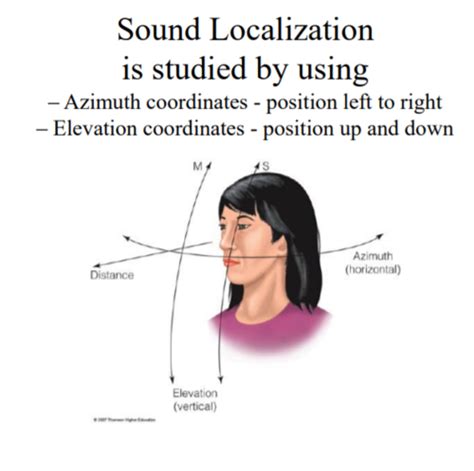 PS 222 Sound Localization Flashcards Quizlet