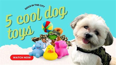 5 Cool Dog Toys For Small Dogs Youtube