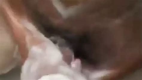 Ken Zha Gay Porn Videos Sex Model Nudes XHamster