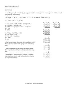 Bikini Bottom Genetics 2 Answer Key Lloyd M Clarke Bikini Bottom Genetics 2 Answer Key