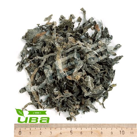 Купить Ламинария (морская капуста) Китай оптом в ООО «ИВА».