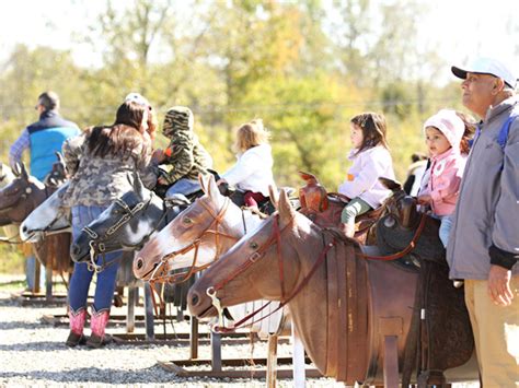 Iron Horse Corral Leeds Farm Central Ohio