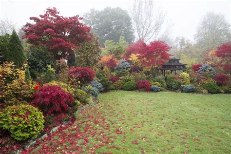 #837144 Walsall Garden, England, Autumn, Gardens, Bridges, Shrubs