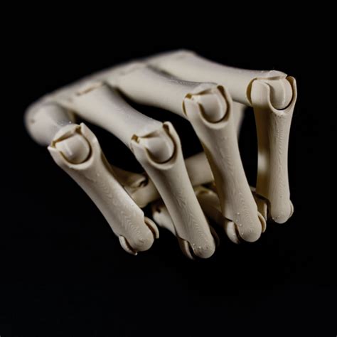 3d Printed The Skeleton Hand By Ocrobus 3d Maker Pinshape