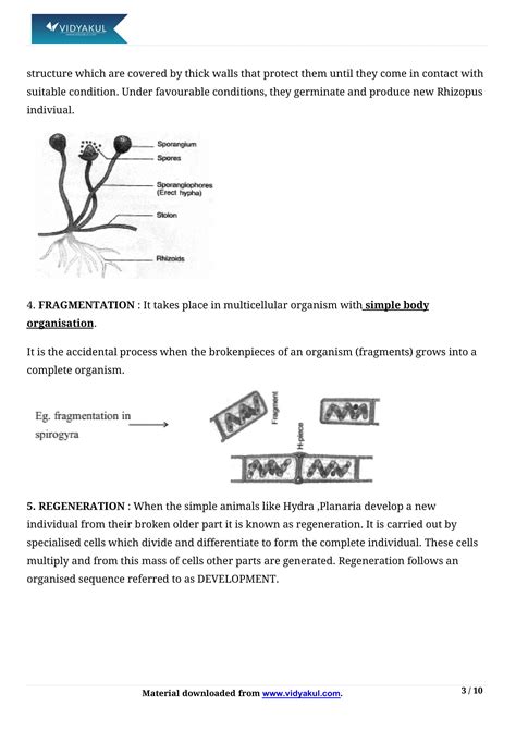 Class 10th Science How Do Organisms Reproduce Ncert Notes Cbse 2023