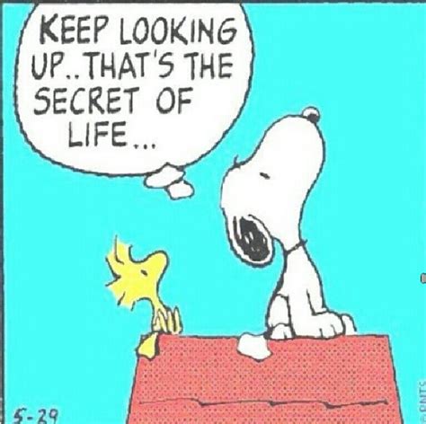 Keep Looking Up Thats The Secret To Life Snoopy Secret Life The