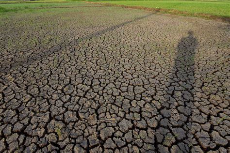 degradación del suelo tipos causas consecuencias y soluciones My XXX Hot Girl