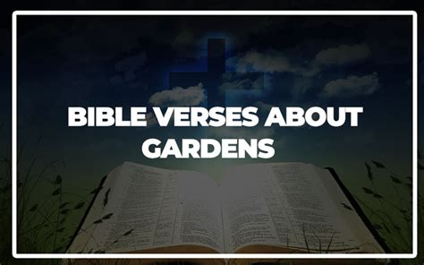 35 Bible Verses About Gardens Explained Bible Repository