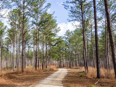 Georgia Fishing Reports – Georgia Outdoor News