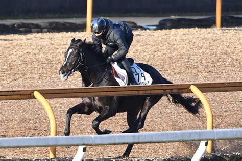 【中山金杯】マテンロウレオ 昆師「走ることに気が向いている」 サンスポzbat