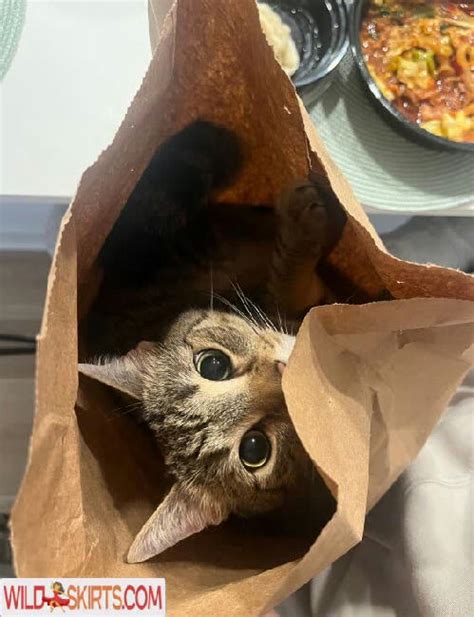 Allycxt Nude Leaked Photos And Videos WildSkirts