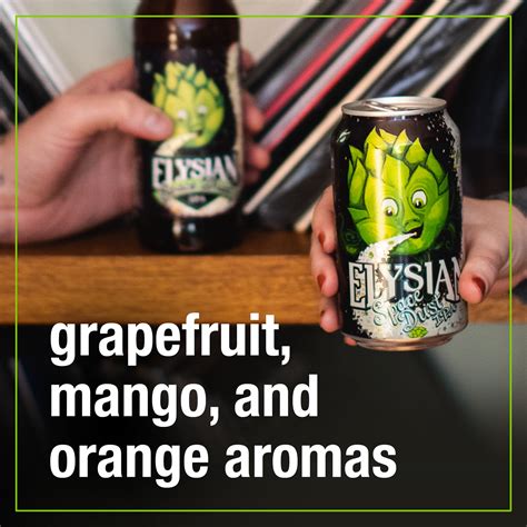 Elysian Space Dust Ipa Craft Beer India Pale Ale Beer 12 Ct 12 Oz Shipt