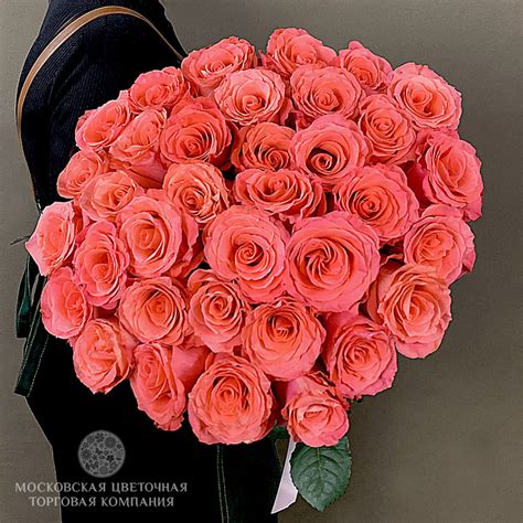 Букет 35 премиальных роз Амстердам купить за 8 800 руб. с ...