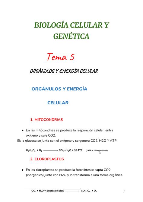 Tema Apuntes Para El Grado De Biologia O Similares Biolog A