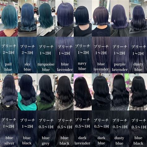 Indigo Hair Color Raven Hair Color Hair Color Blue Hair Dye Colors