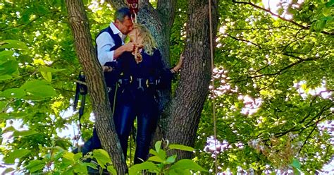 Eva Och Mattias Gifte Sig H Ngandes Sex Meter Upp I Ett Tr D