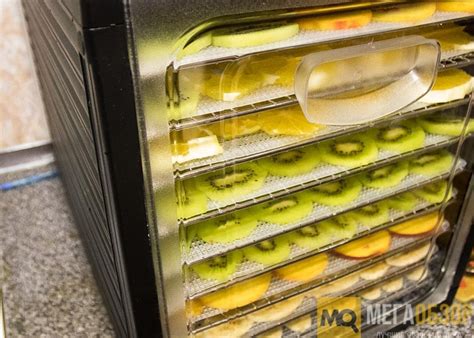 Обзор Rawmid Dream Vitamin DDV-10. Лучший дегидратор с 10 поддонами ...