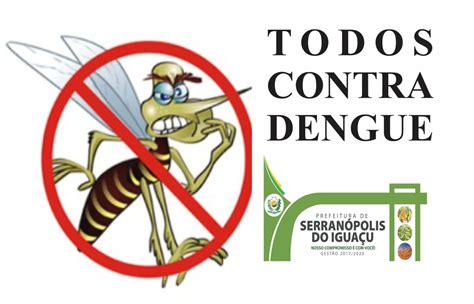 Frases Sobre A Dengue - 7