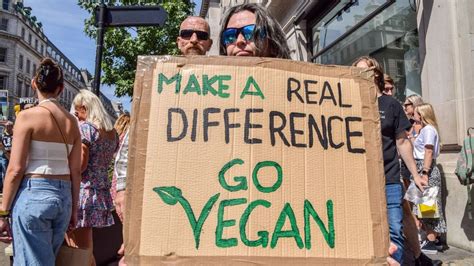 Young People Like Me Are Going Vegan Thats Bad For The Environment