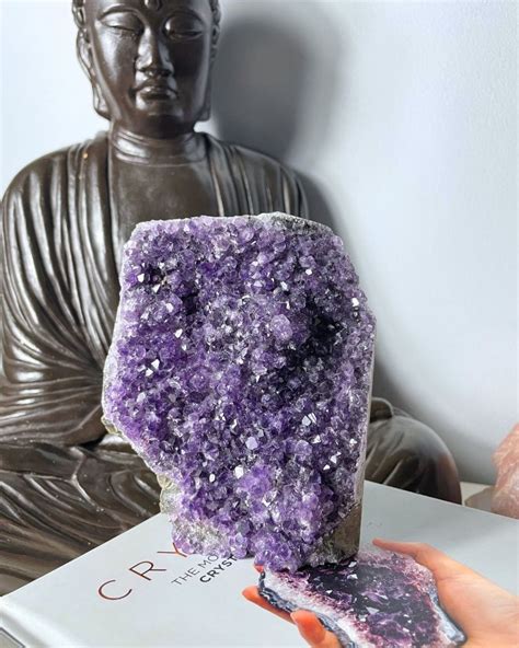 Self Standing Amethyst Crystal Garden