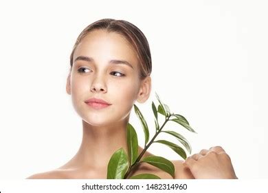 Naked Leaf Stock Photos Images Photography Shutterstock