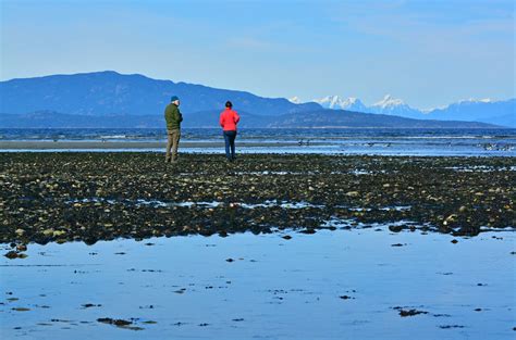 Rathtrevor Beach Park | BC Parks