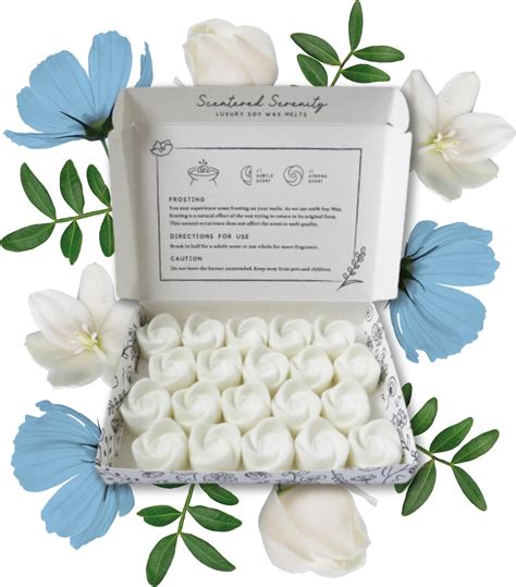 Fresh Linen Wax Melts Strong Scented 20 Pack Luxury Gift Set Wax