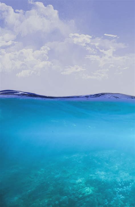 2 Underwater Hd 2k Vertical Image By Mattiamc On Deviantart
