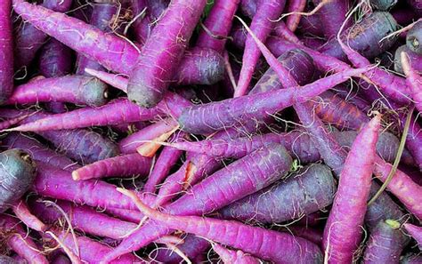 15 Facts About Purple Carrot - Facts.net