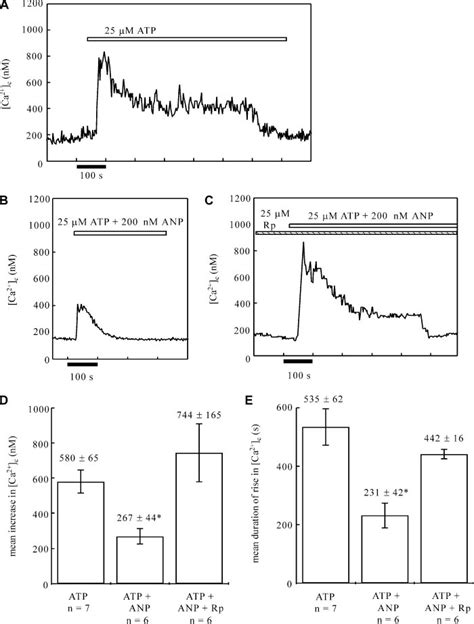 Anp Attenuates Atp Induced Ca C Rises In Single Rat Hepatocytes