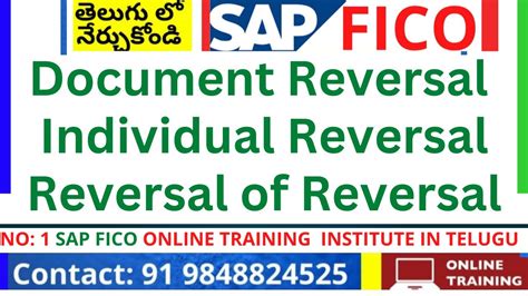 Document Reversal Individual Mass Reversal Reversal Of Reversal In