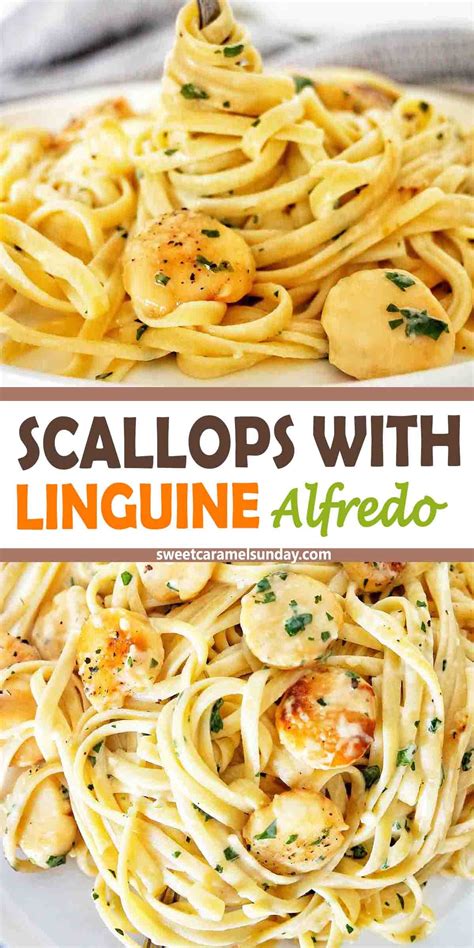 Scallop Recipes Pasta Artofit