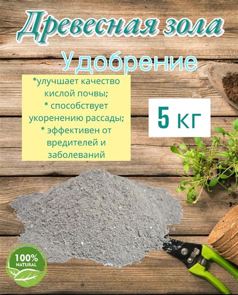 Древесная зола 5 кг - купить с доставкой по выгодным ценам в интернет ...