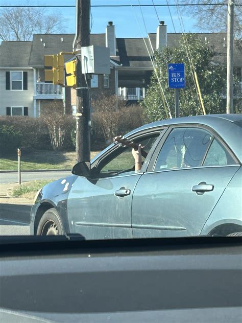 Spotted in the (Nashville) wild today : r/nashville