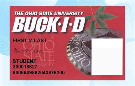 7 Essential Steps To Get An Ohio State Id