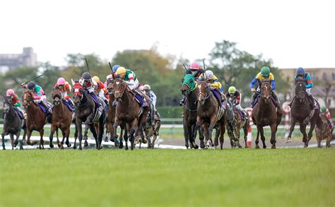 【日本ダービー 2023 出走馬まとめ】大一番へ挑む精鋭18騎のプロフィールまとめ 競馬まとめ Netkeiba