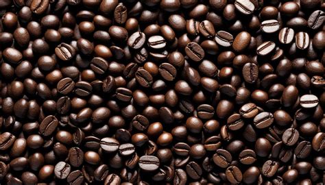 understanding  differences  light medium  dark roast