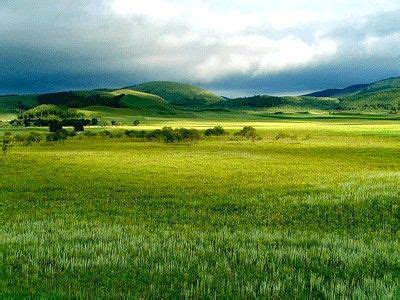 Temperate Grassland Grassland Biome Grassland Biomes