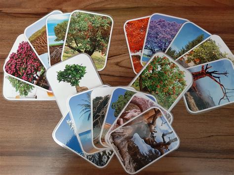 Использование МАК в работе педагога-психолога с педагогами